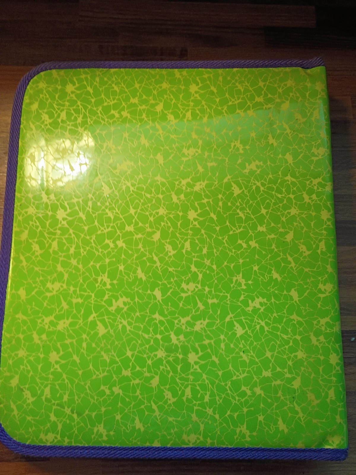 VTG Nickelodeon Green Slime Cartoon Binder By Stuart Hall Classic Characters Y2K