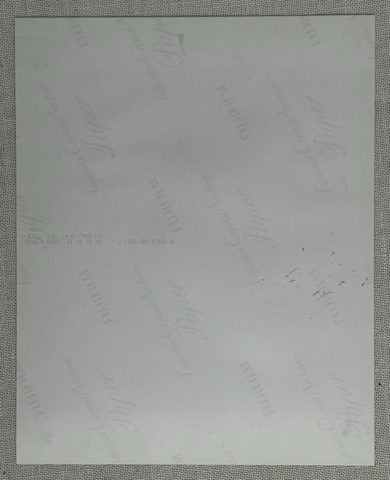 Betty White & Pontiac Signed Autograph “To Michael” 8×10 Photo The Golden Girls
