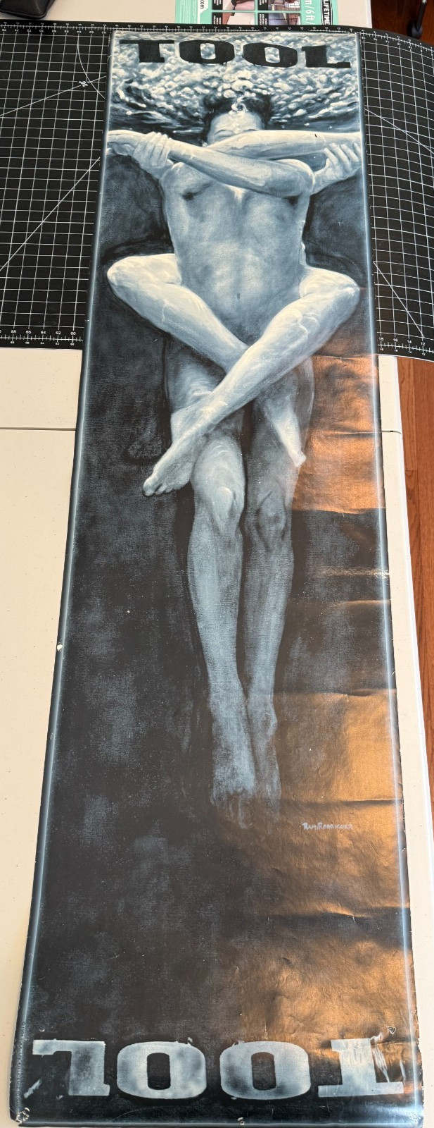 TooL Poster Embrace Caduceus Aenima Ramiro Rodriguez 16″ X 60″ APC Puscifer RARE