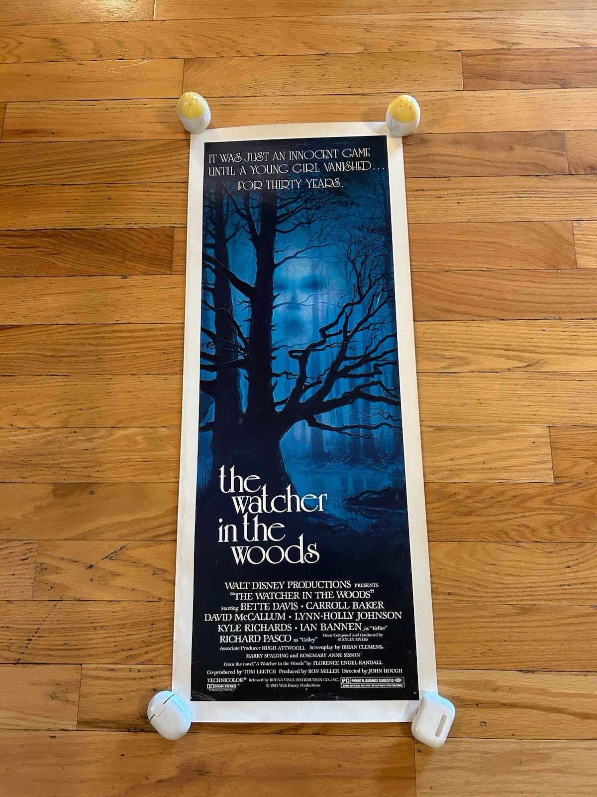 The Watcher in the Woods 14 x 36 Insert Movie Poster 1980 Bette Davis D McCallum