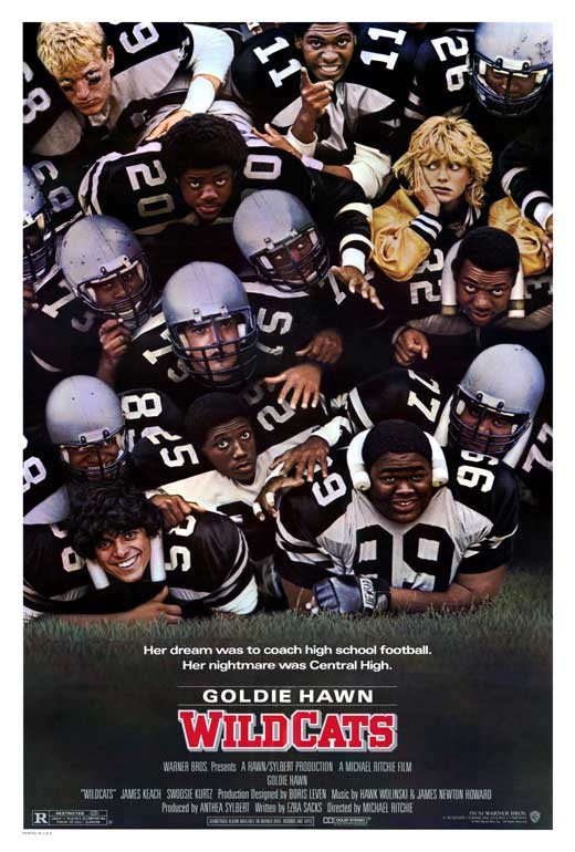 Wildcats Poster Movie 27×40 Goldie Hawn James Keach Swoosie Kurtz