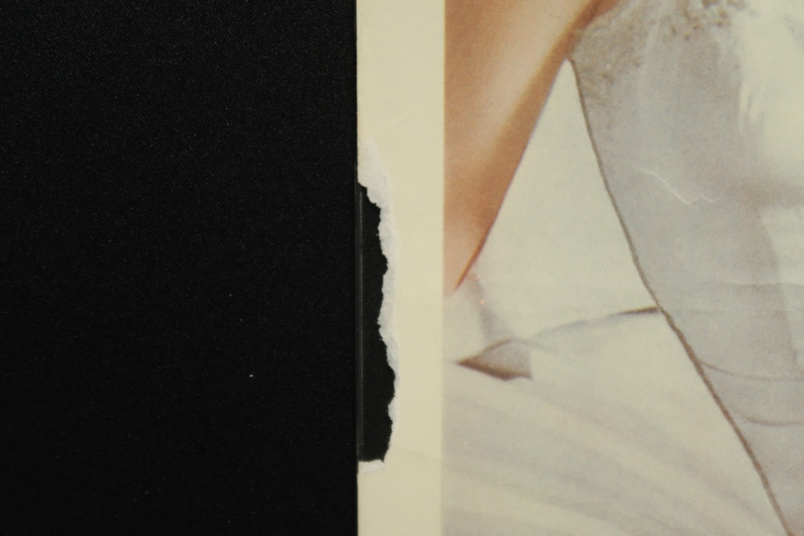 Cat on a Hot Tin Roof 1958 Poster Insert 14 x 36 NSS 58/330 Elizabeth Taylor