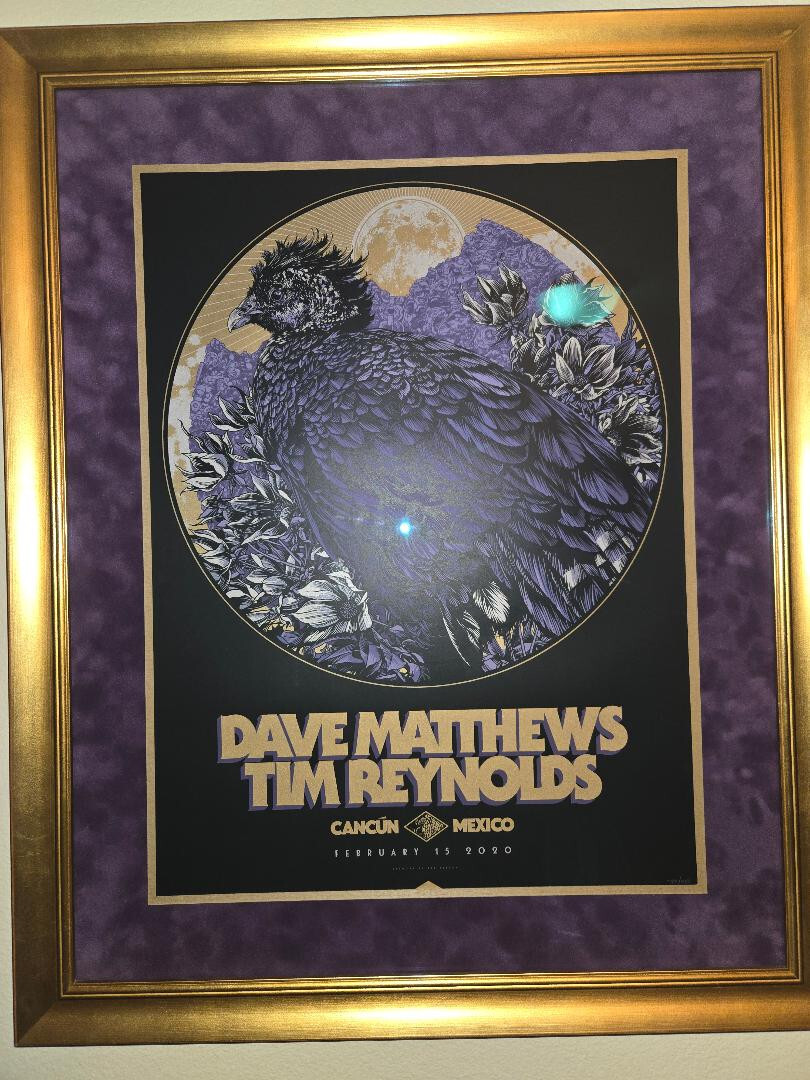 Dave Matthews Tim Reynolds Cancun 2020 Screen Print AP Poster Ken Taylor FRAMED