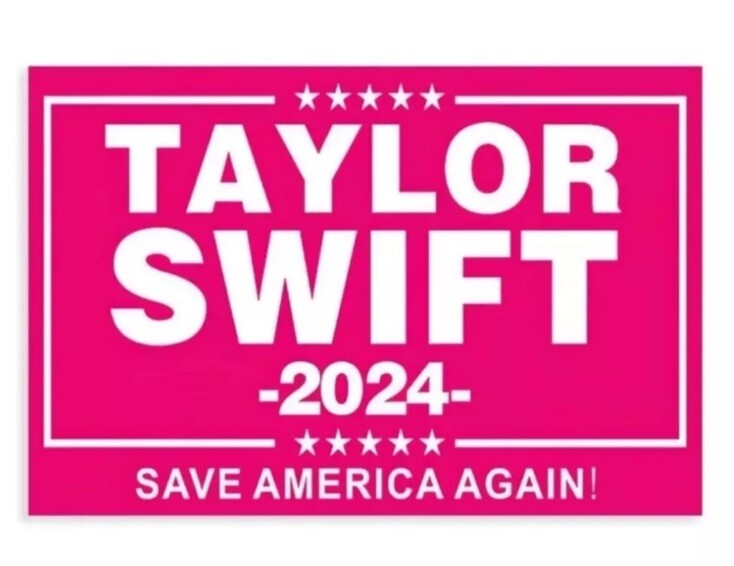 Taylor Swift 3×5 Ft Save America Again 2024 Pink Banner Flag Tapestry Decor NEW!