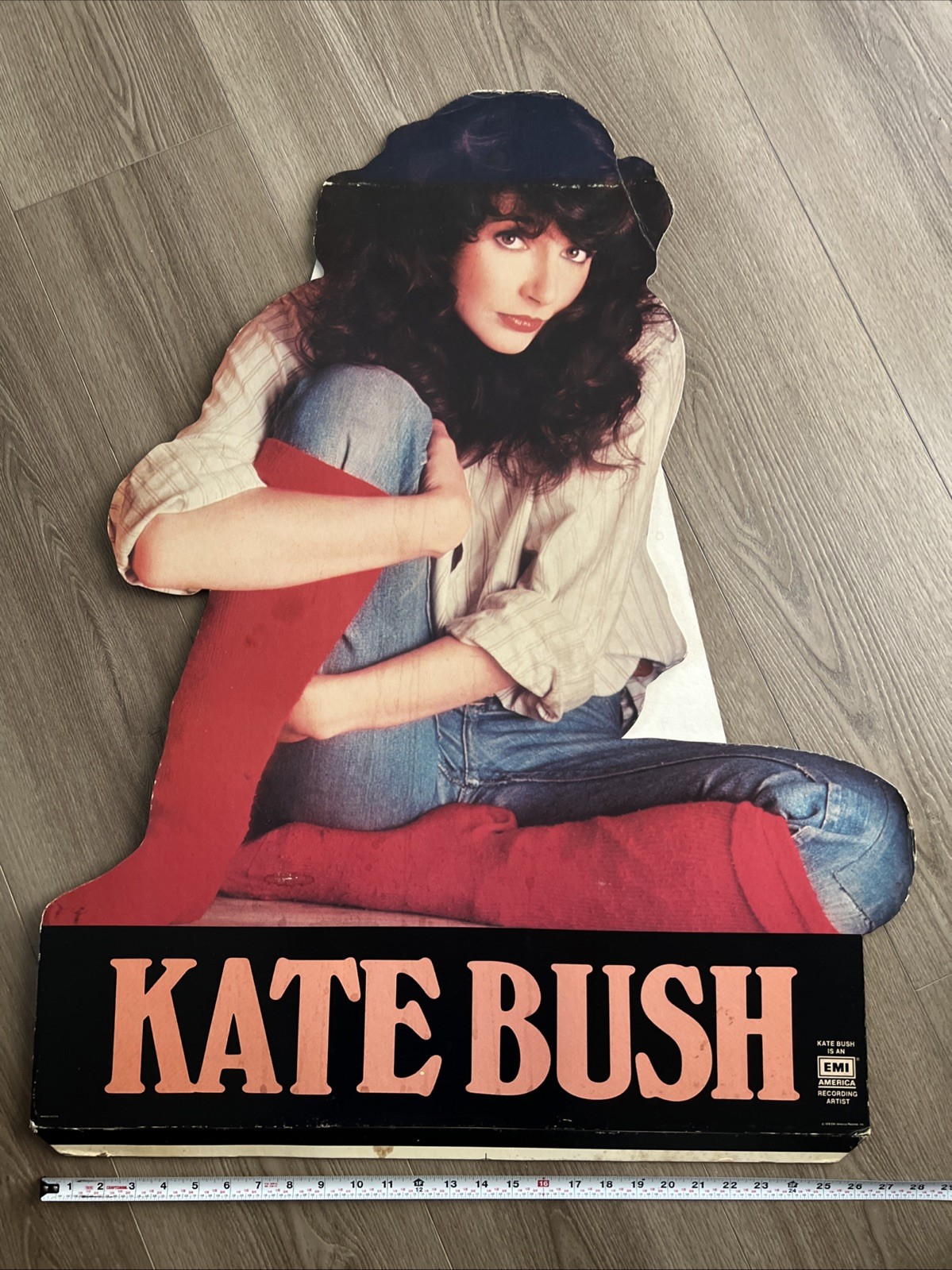 Kate Bush The Kick Inside Promotional EMI America Records Cardboard Standee 1978