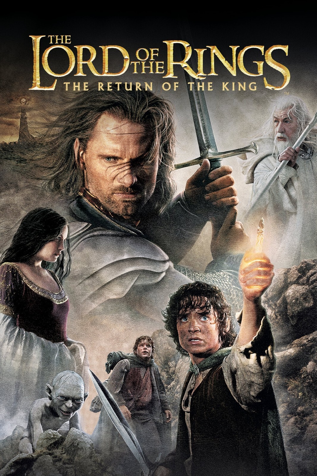 2003 Lord Of The Rings The Return Of The King Movie Poster 11X17 Frodo 🍿