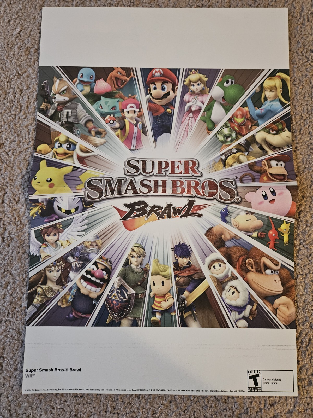 Super Smash Bros Brawl/Super Paper Mario 15.5”x11.5” Double Sided Poster