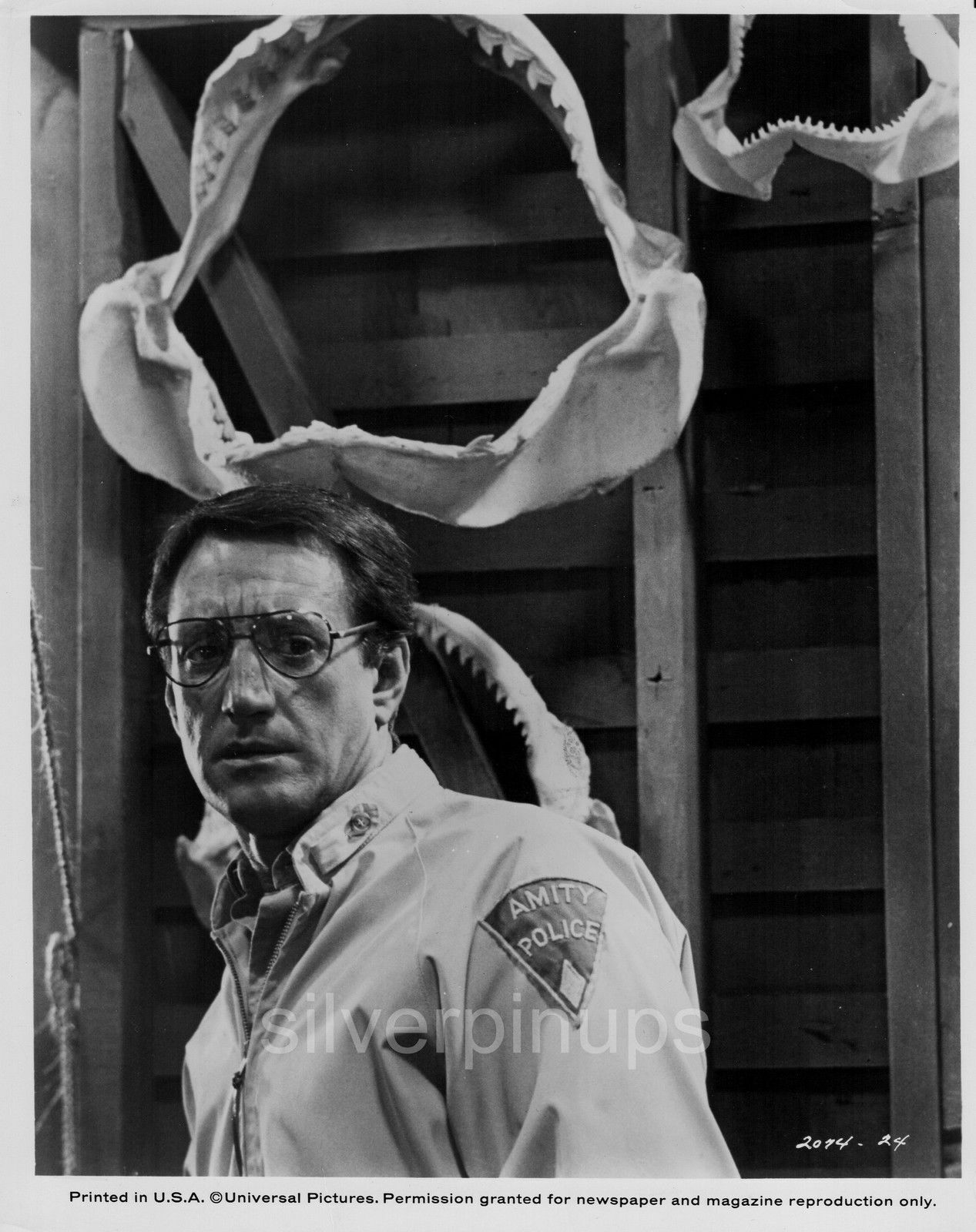 Orig 1975 ROY SCHEIDER as Chief Brody.. Superb Close-up “JAWS” Portrait