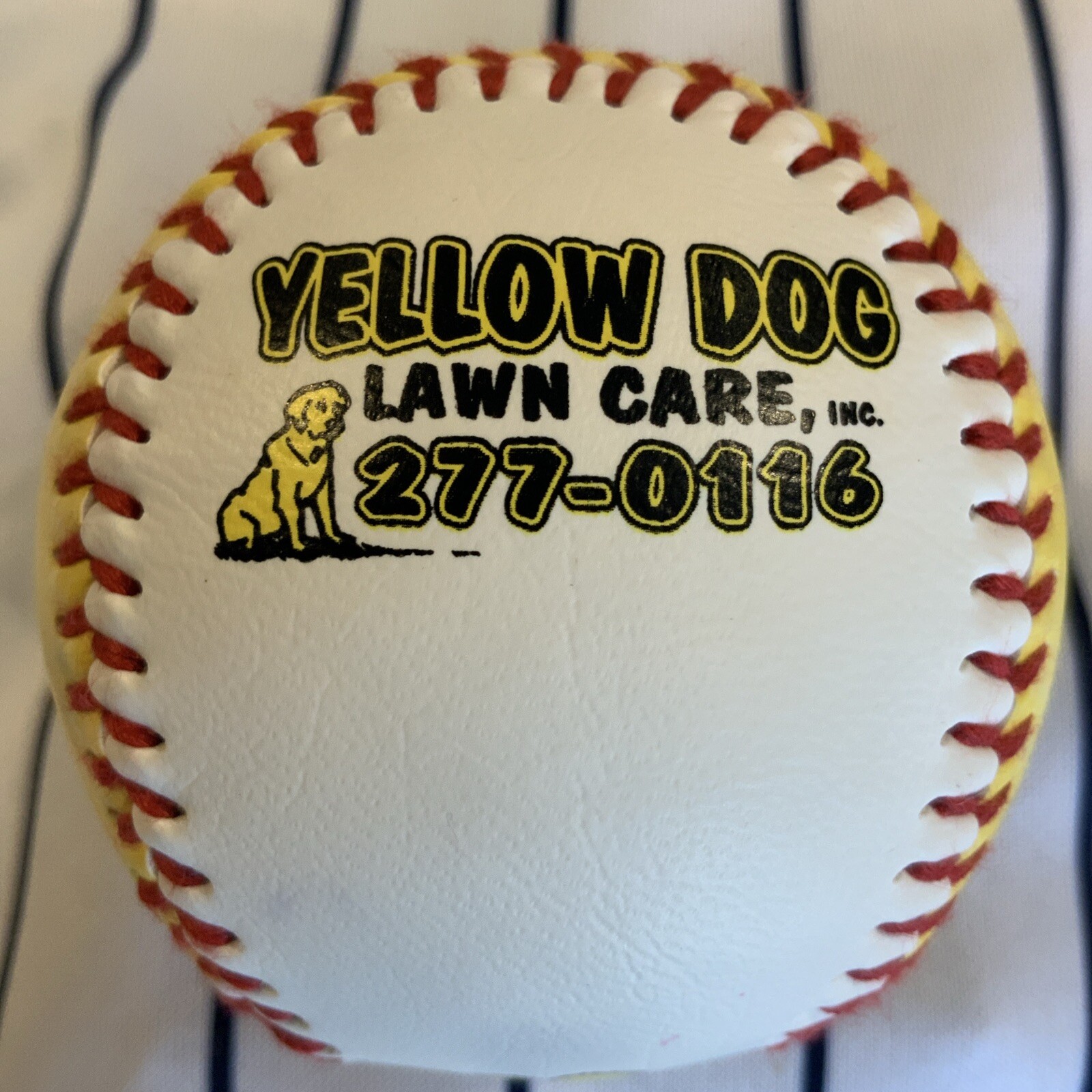 Long Island Ducks Independent League Yellow Dog Baseball Ball Souvenir