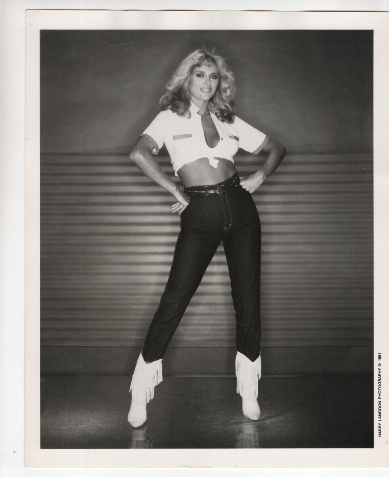 Sybil Danning in Jeans Harry Langdon Orig DBW 1981 8×10 Photo