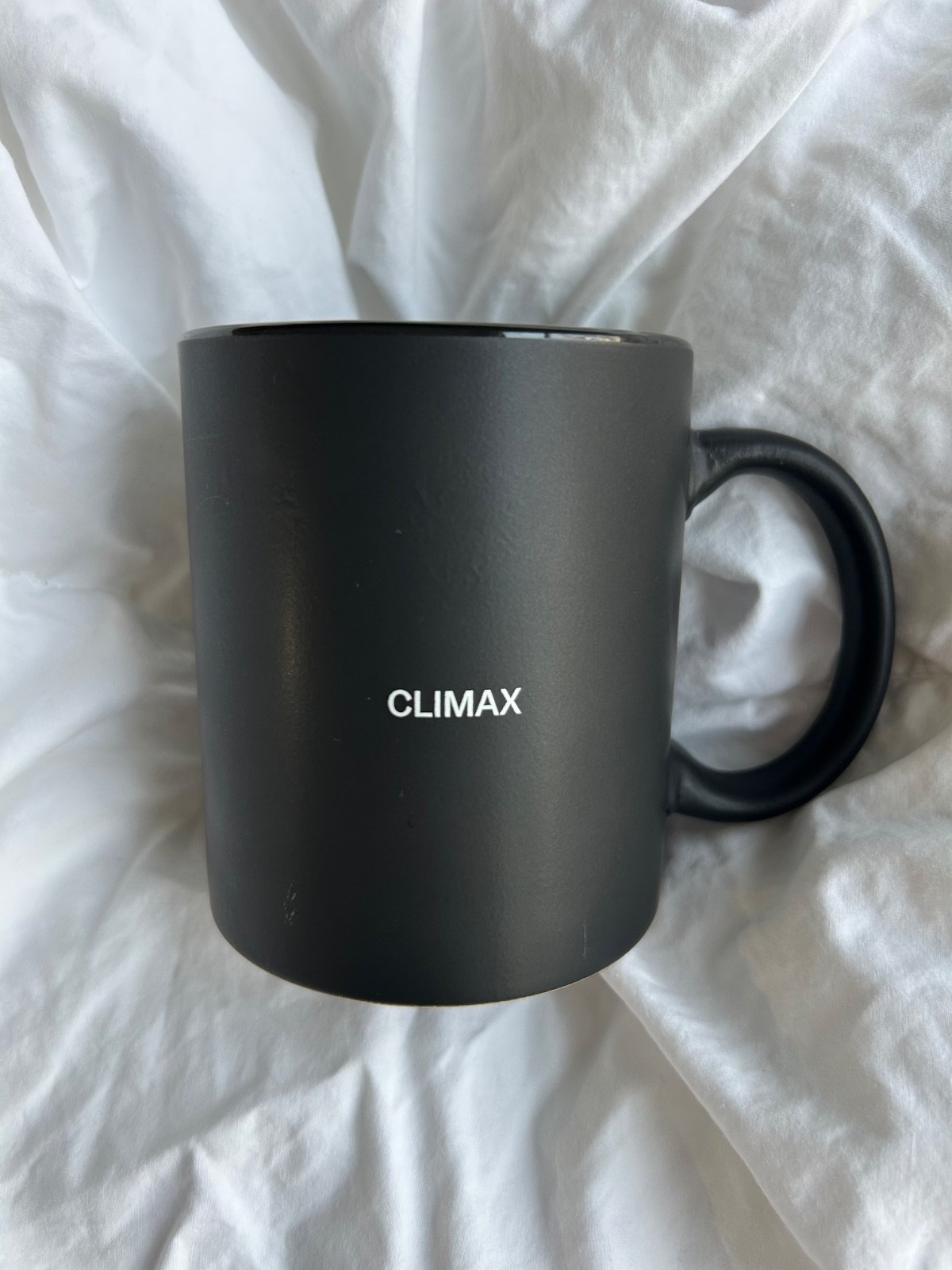 Ultra Rare A24 CLIMAX promo mug NEW NEVER USED Out of Production GASPAR NOE CULT