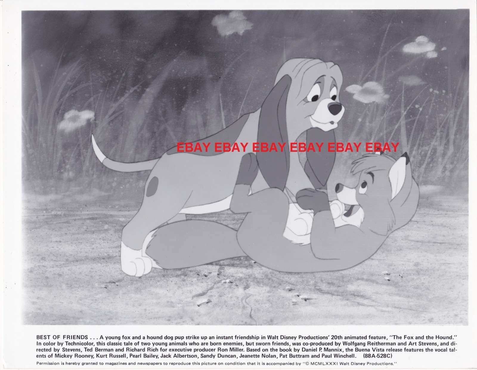 Original Photo Walt Disney The Fox and the Hound 1981 # 2
