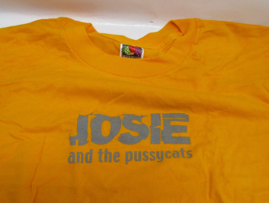 Original 2001 MOVIE PROP Josie and The Pussycats T-SHIRT Distressed Sleeveless