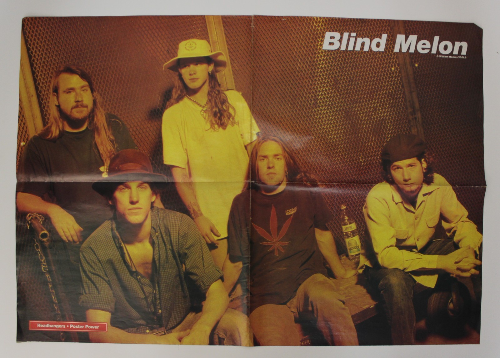 1990s BLIND MELON Double Sided Poster 16.25″ x 23″ (54.5 x 41.5cm) Spain Vintage