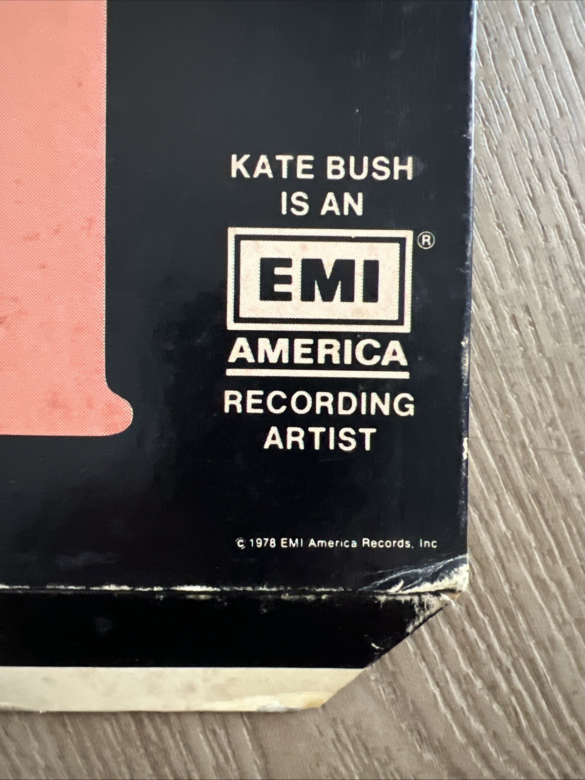 Kate Bush The Kick Inside Promotional EMI America Records Cardboard Standee 1978
