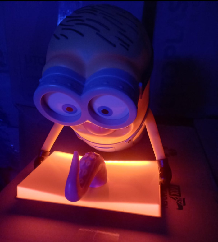 MINIONS & MONSTERS 1 Bucket Popcorn LED LIGHT MOVIE CINEMA CINEPOLIS MEXICO 2026