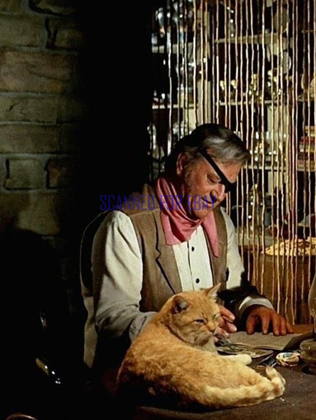TRUE GRIT JOHN WAYNE & PET CAT GENERAL STERLING PRICE RARE PHOTO