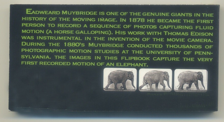 Eadweard Muybridge Elephant Walking 1887 Reprint 4 x 2 inch MOTION FLIP Book New