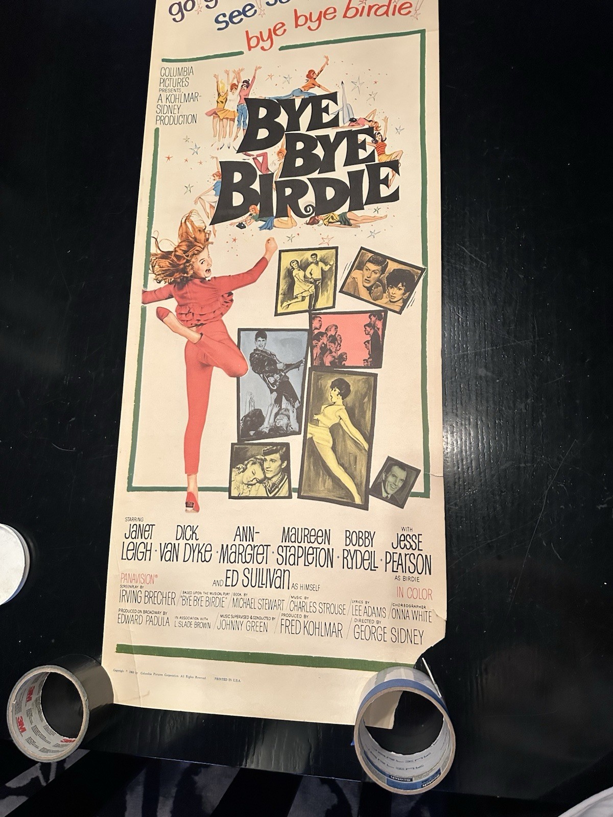 Original Bye Bye Birdie 1963 MOVIE POSTER 14X36 DICK VAN DYKE ANN-MARGARET