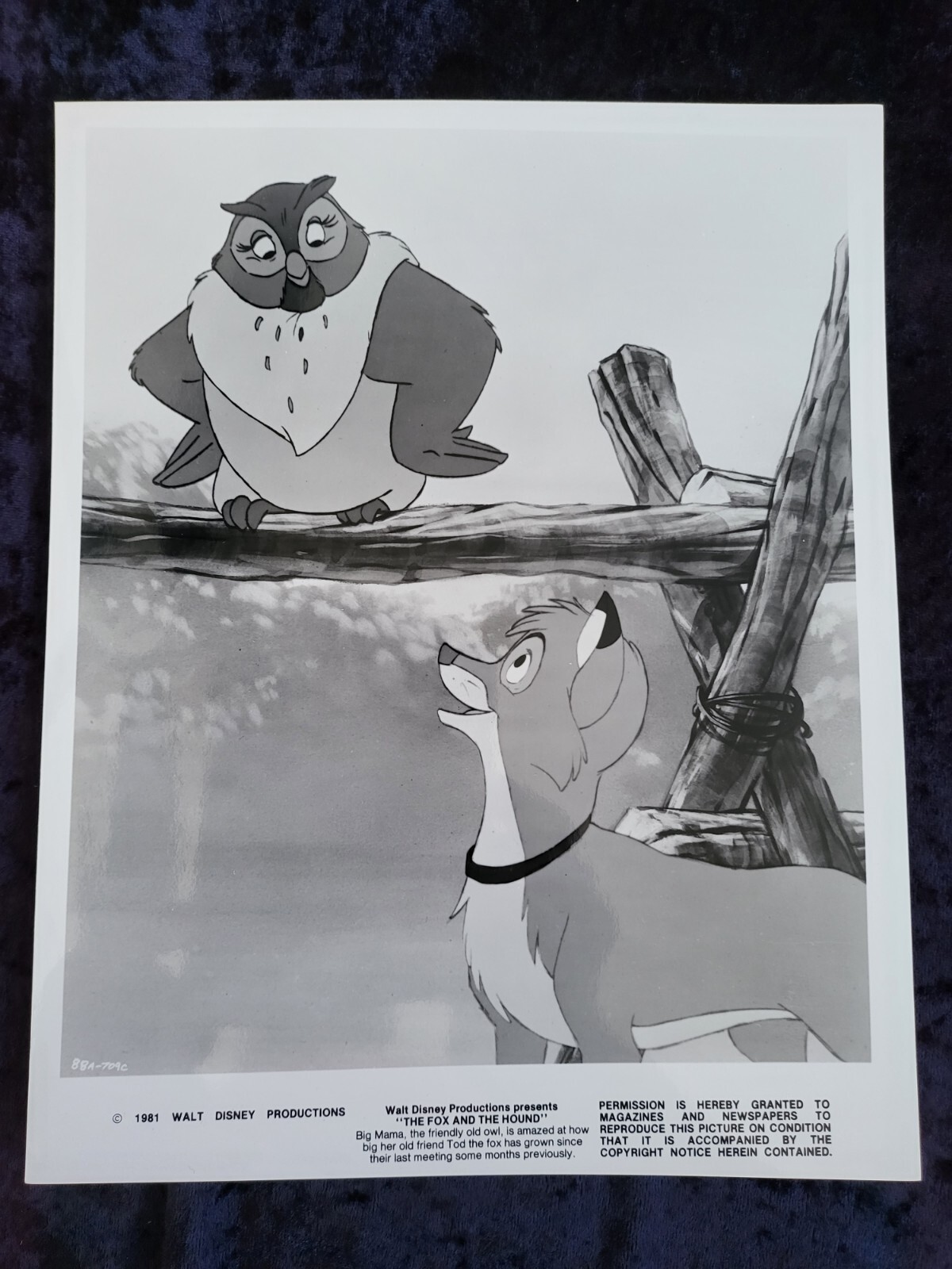 The Fox And The Hound original 1981 movie photo # 6 – 8 x 10 – Walt Disney