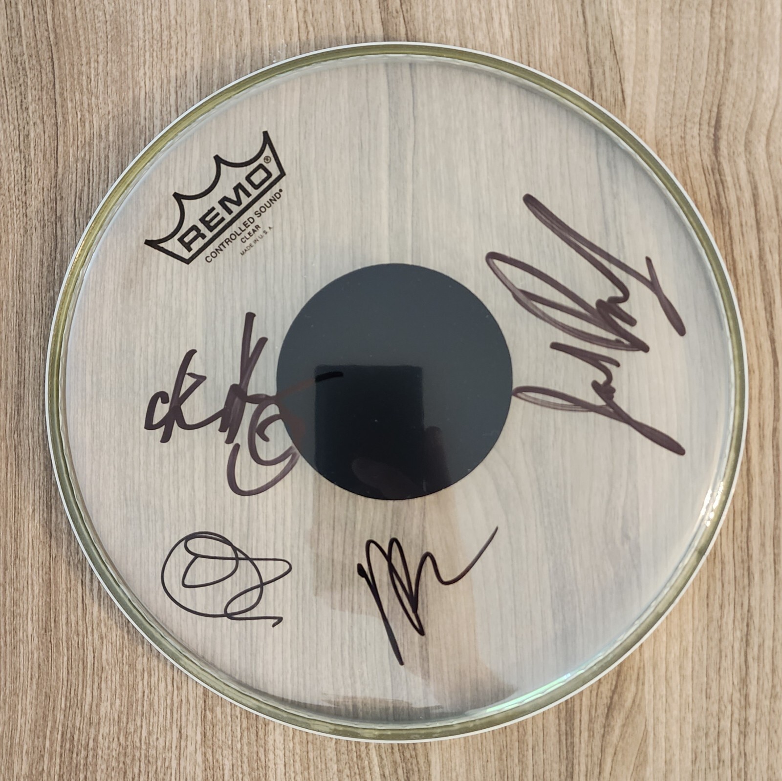 Spin Doctors Band Signed 10″ Drumhead Drum Head Chris Barron +3 LEGENDS RAD