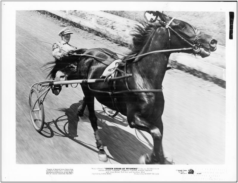 GREEN GRASS OF WYOMING – 1948 – 6 Original 8×10 Harness Racing Photos