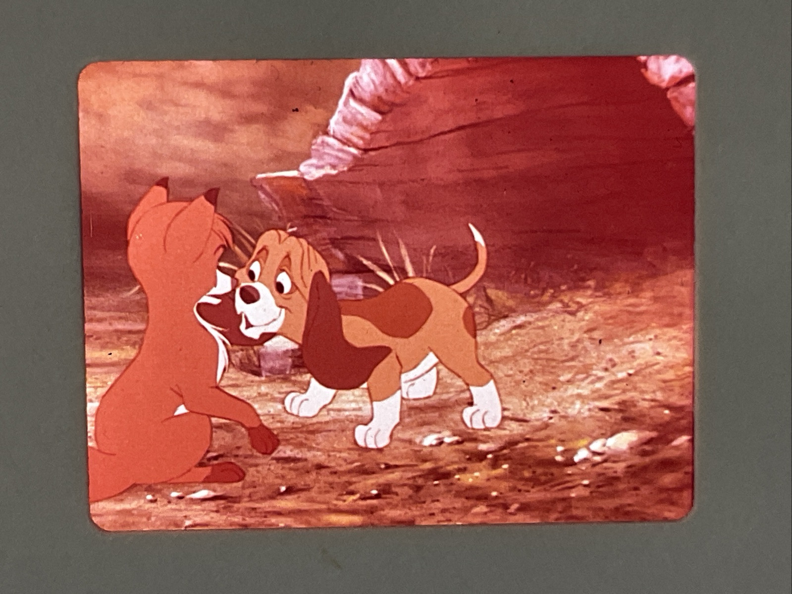 The Fox And The Hound Walt Disney Original Film Still Transparency Slide