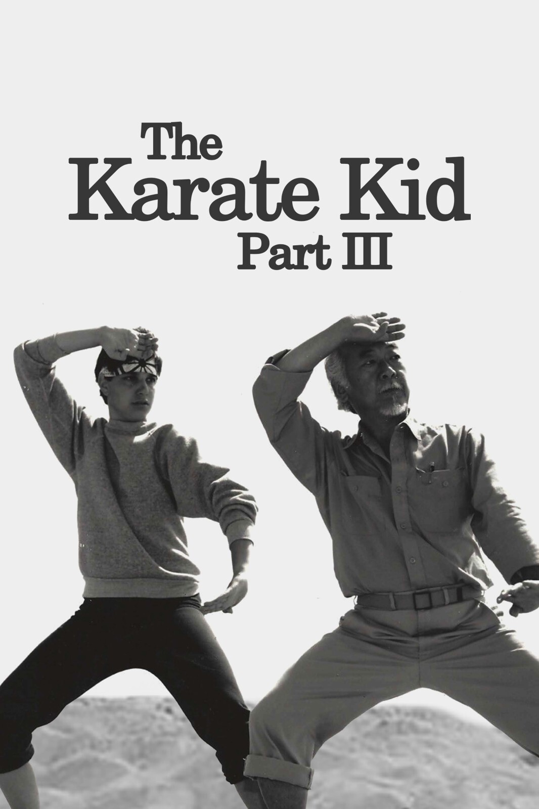 1989 The Karate Kid Part III Movie Poster 11X17 Daniel Larusso Miyagi Cobra Kai