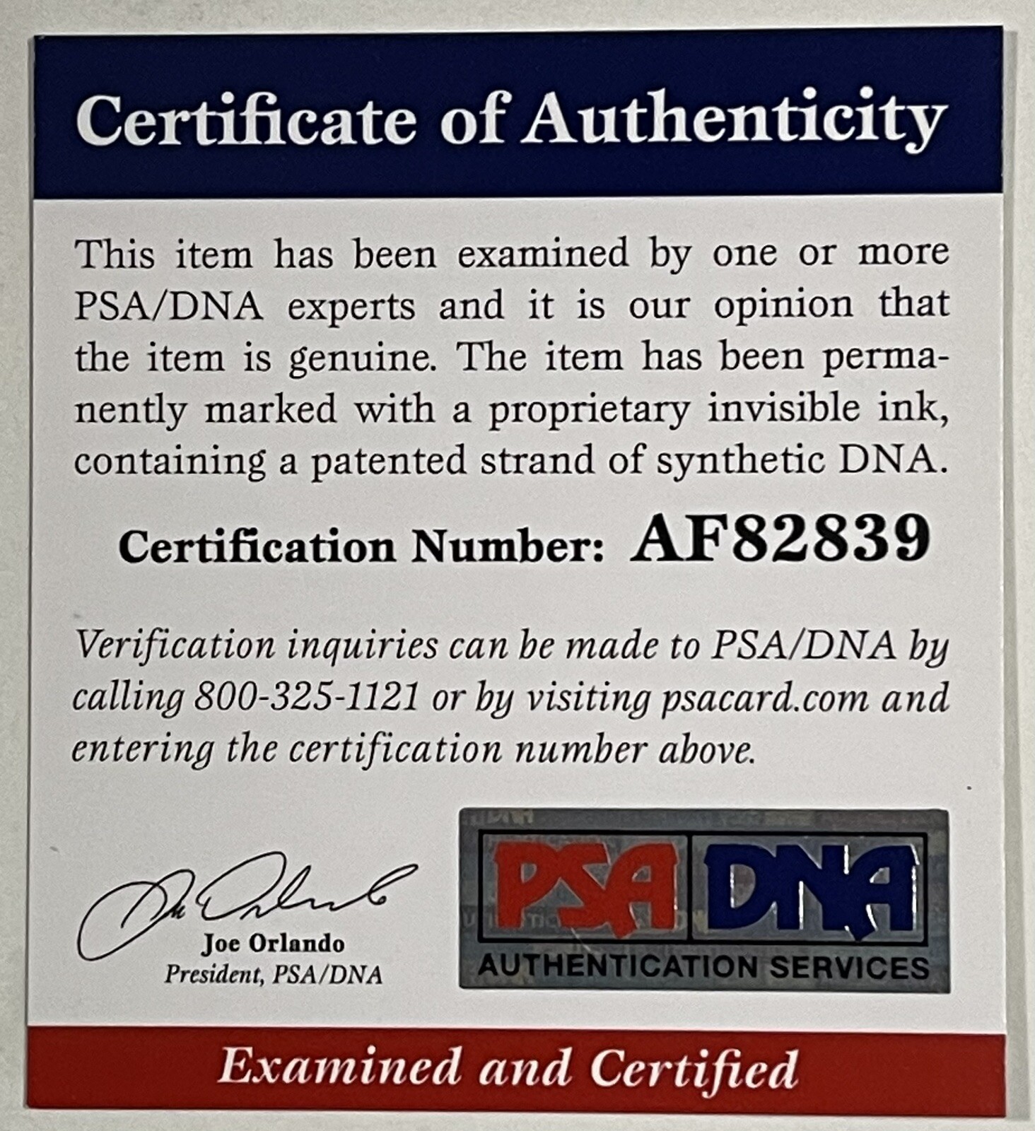 Anthony & Joe Russo Signed Directors Clapboard Infinity War Marvel PSA/DNA COA