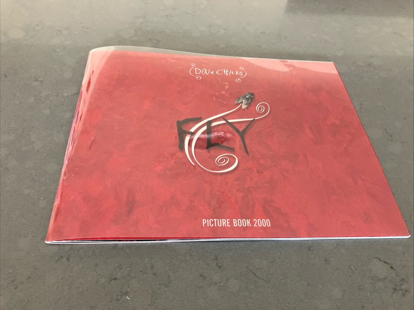 Dixie Chicks 2000 FLY Tour Concert Picture Book