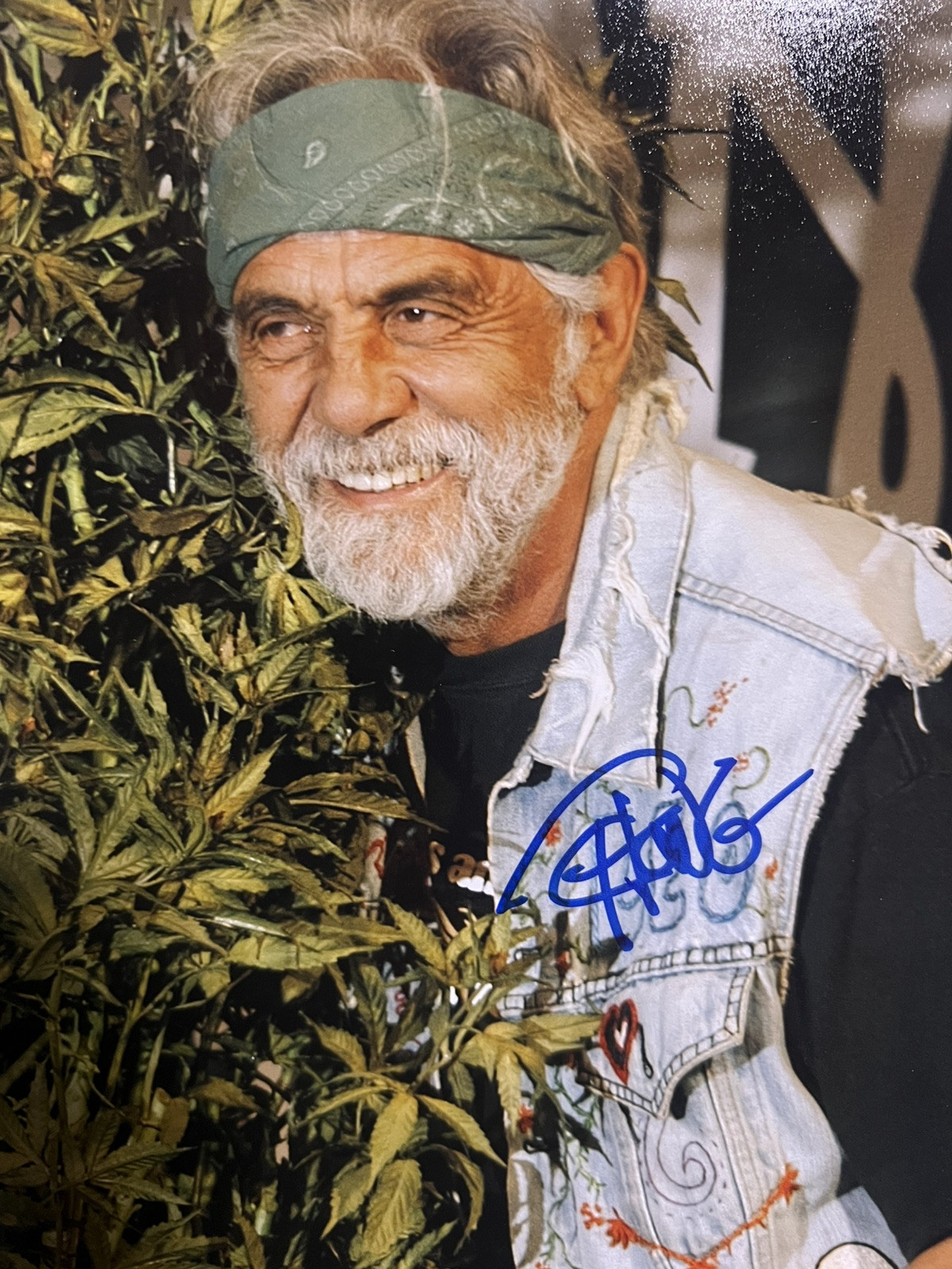 🔥Tommy Chong & Cheech Marin Signed 11×14 Photo (JSA) 🔥