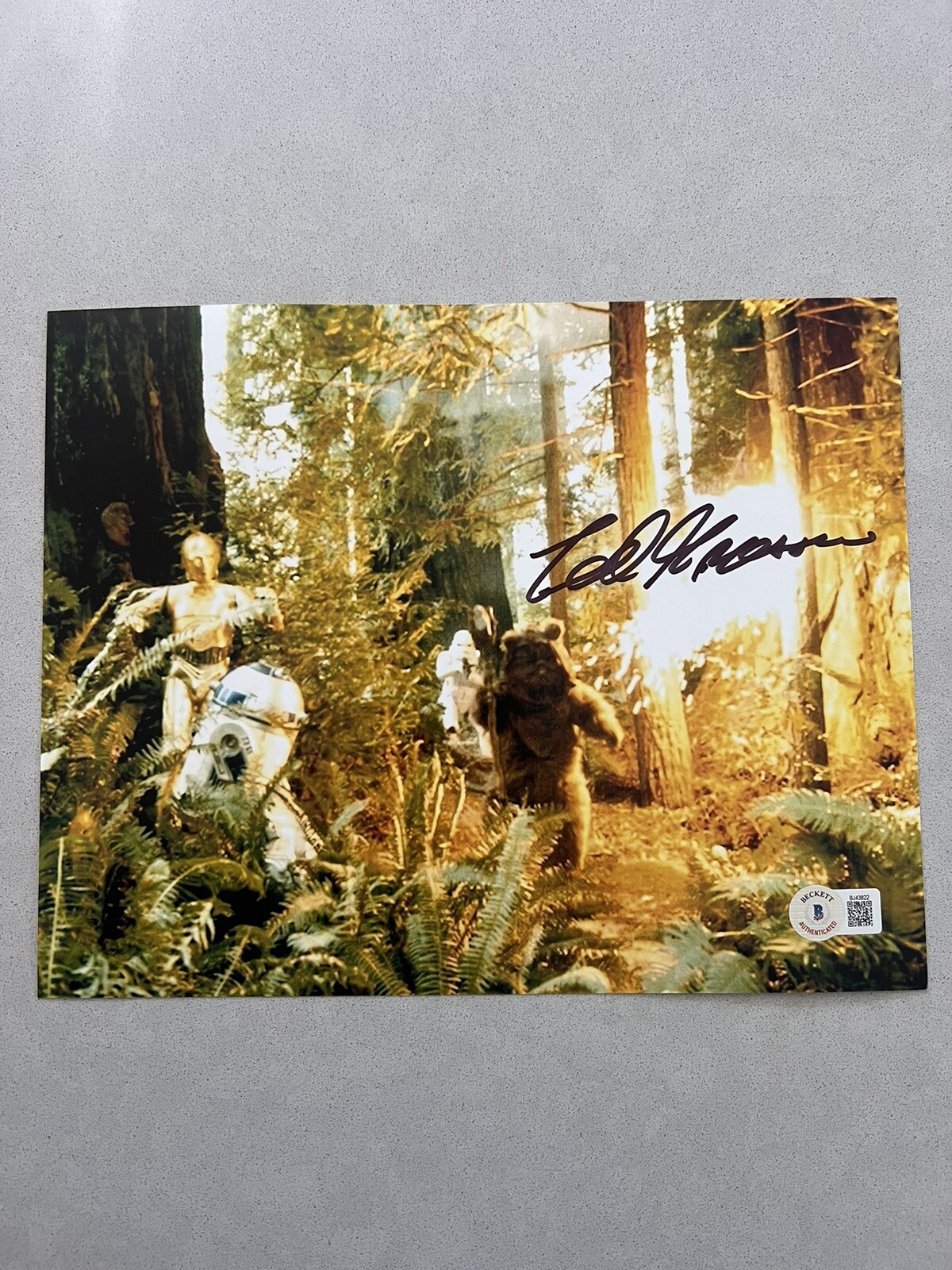 Ted Grossman autographed signed 8×10 photo Beckett BAS COA Star Wars Jaws Stunts