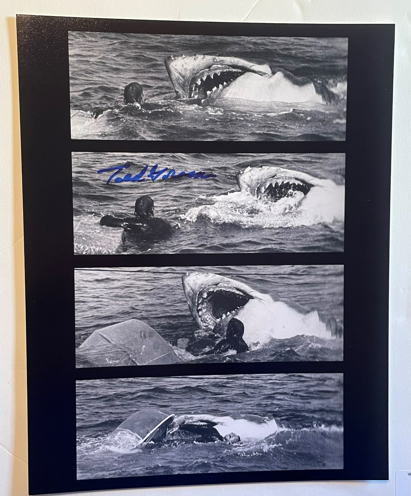 Ted Grossman Estuary Victim Jaws SIGNED Autograph 11×14 K9 COA w PROOF