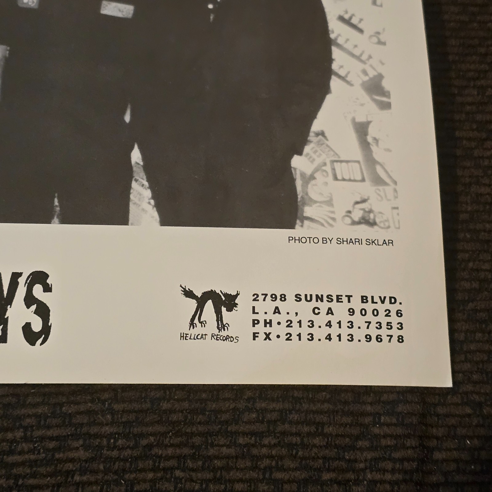 Dropkick Murphys Original Hellcat Records 8×10 Promo Press Photo 1990s Punk Rock