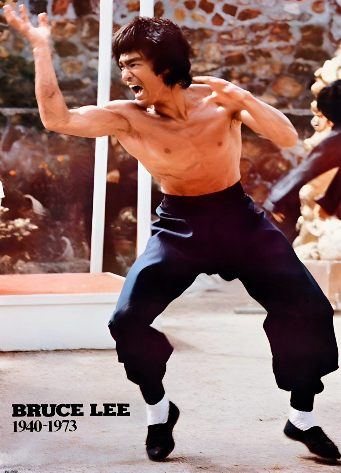 11×14 Bruce Lee Enter The Dragon Photo Poster 1940- 1973 Brand New Photography