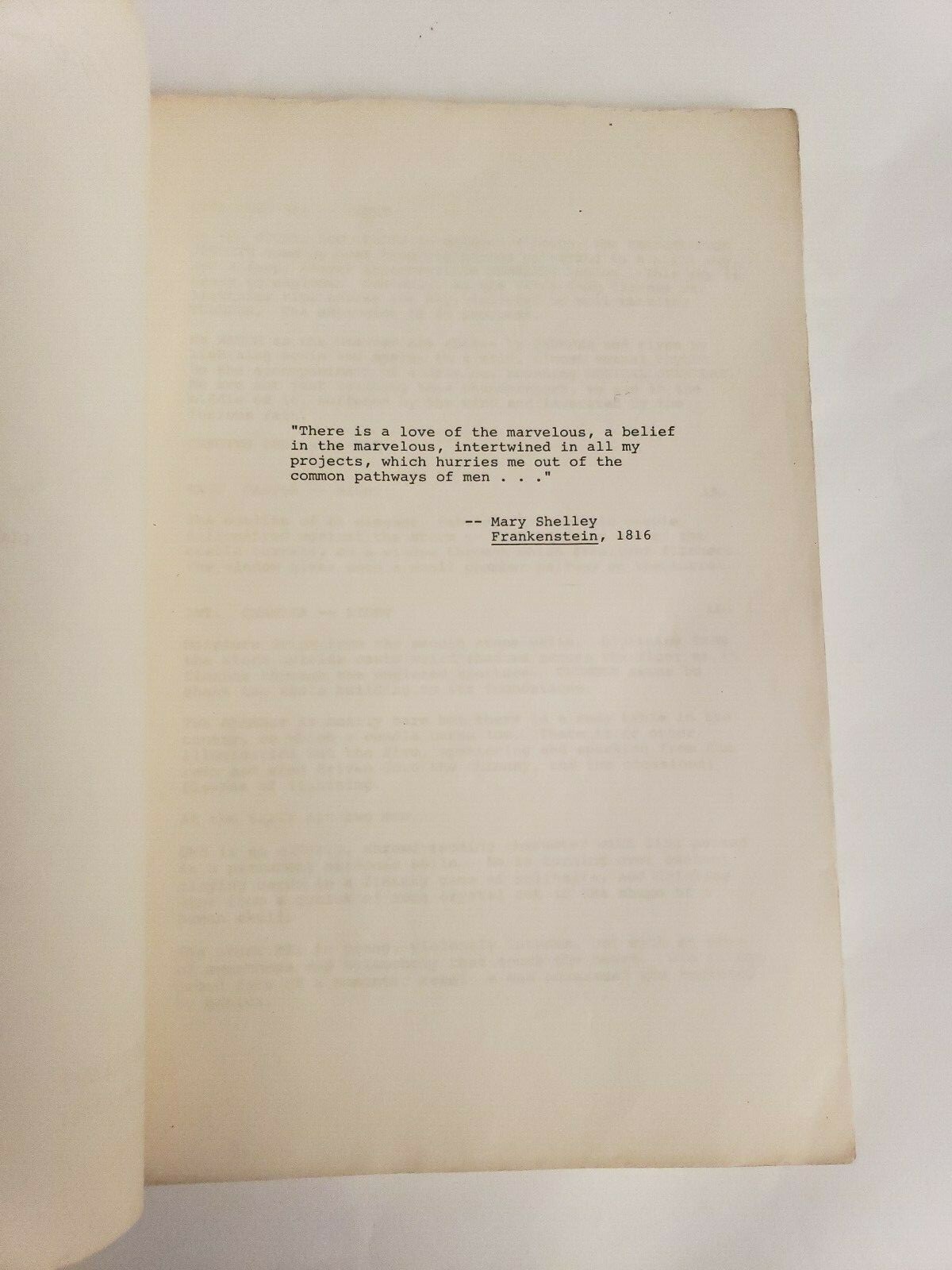 THE BRIDE / Lloyd Fonvielle 1984 Screenplay STING plays Frankenstein Horror Film