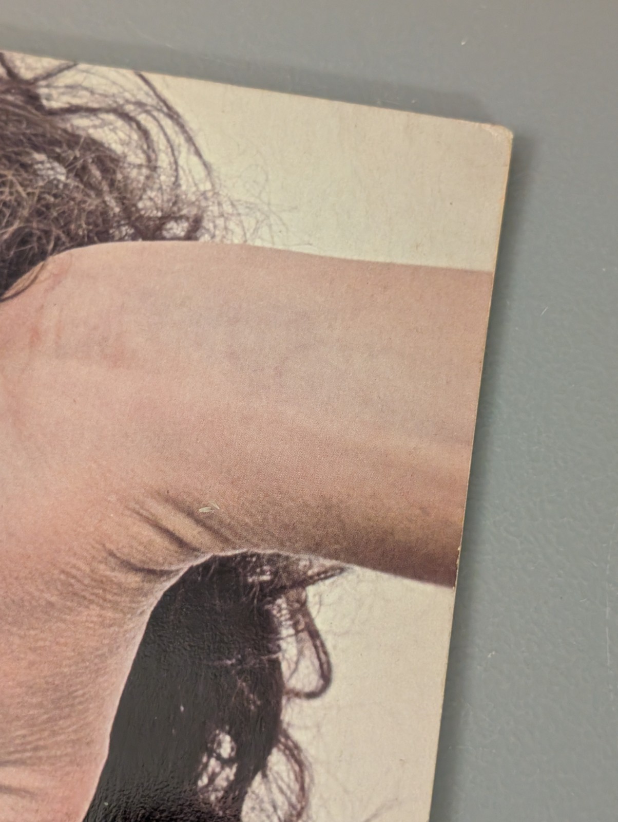 1978 Bob Dylan Concert Program – Street Legal Tour – Vintage 70s Music Booklet