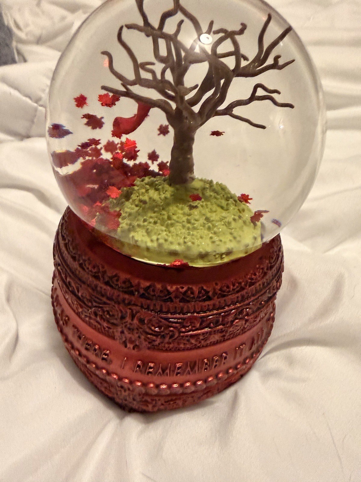 ✨ALL TOO WELL✨TAYLOR SWIFT SNOW GLOBE
