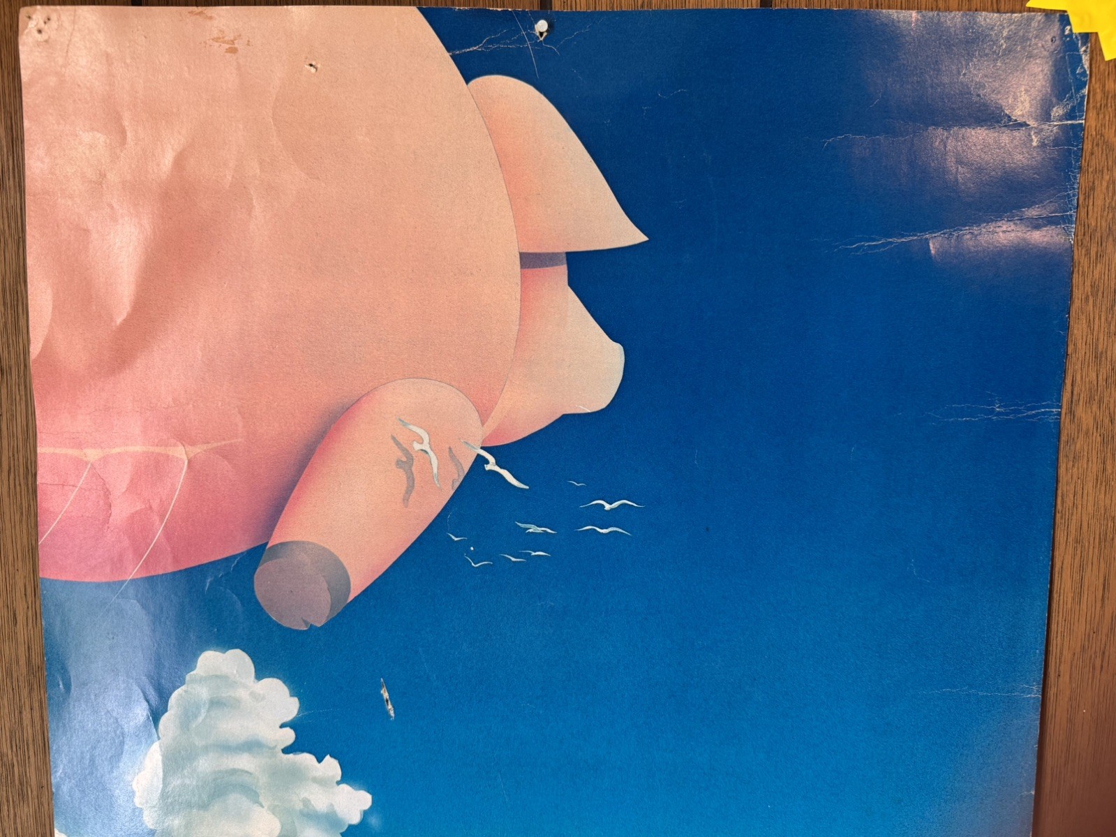PINK FLOYD OAKLAND 1977 concert poster 19.5×27.5