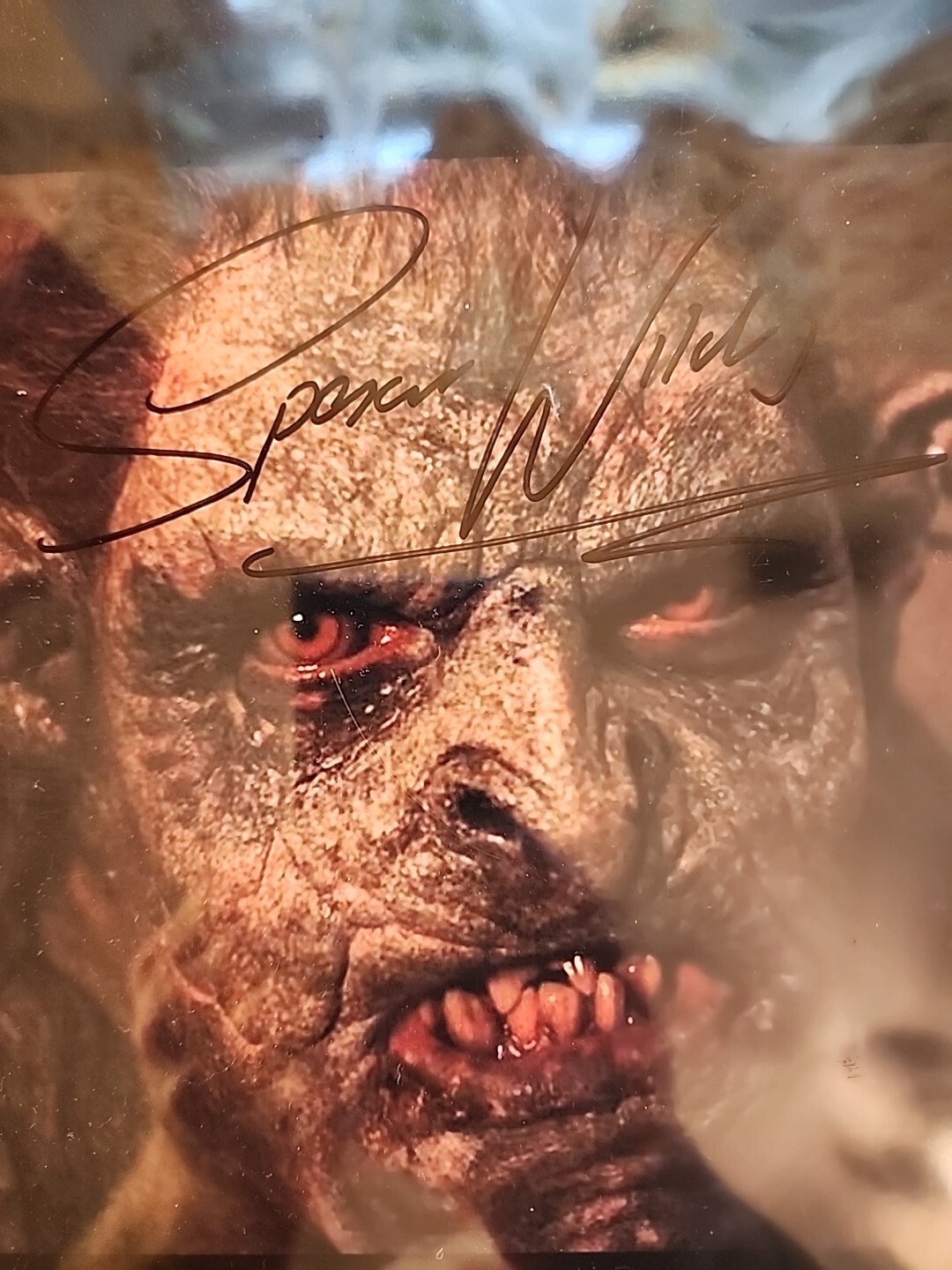 spencer wilding signed 8×10 Autograph