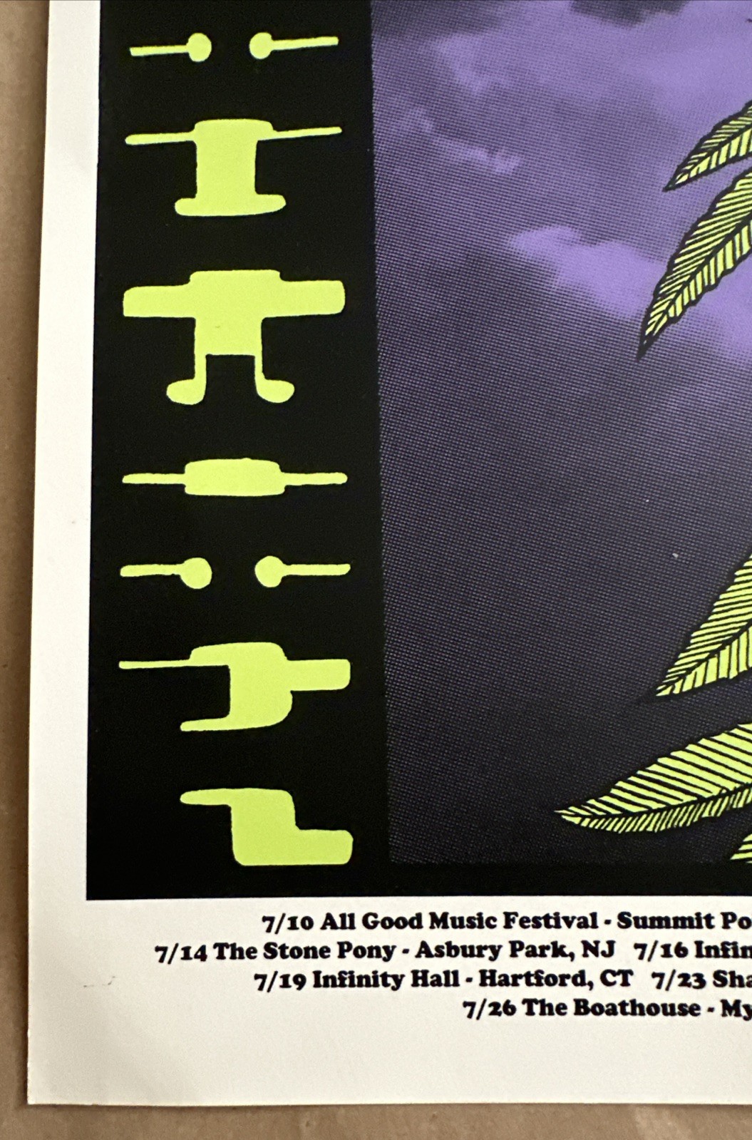 Original The Chris Robinson Brotherhood silkscreen poster A/P signed Alan Forbes