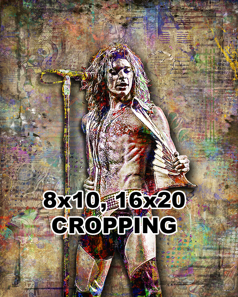 DAVID LEE ROTH VAN HALEN Tribute 16x20in Poster Dave Of Van Halen Art Free Ship