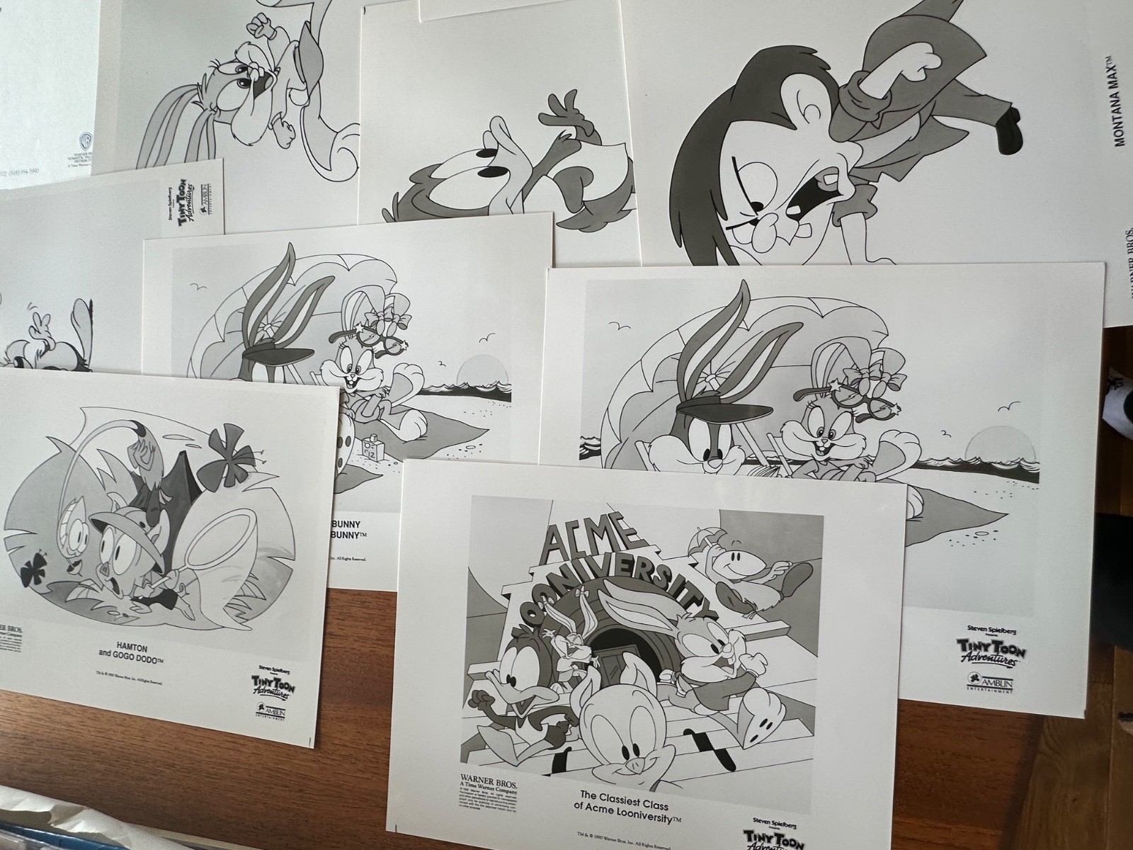 TINY TOON ADVENTURES PRESS KIT 36 photos – Steven Spielberg Presents animation