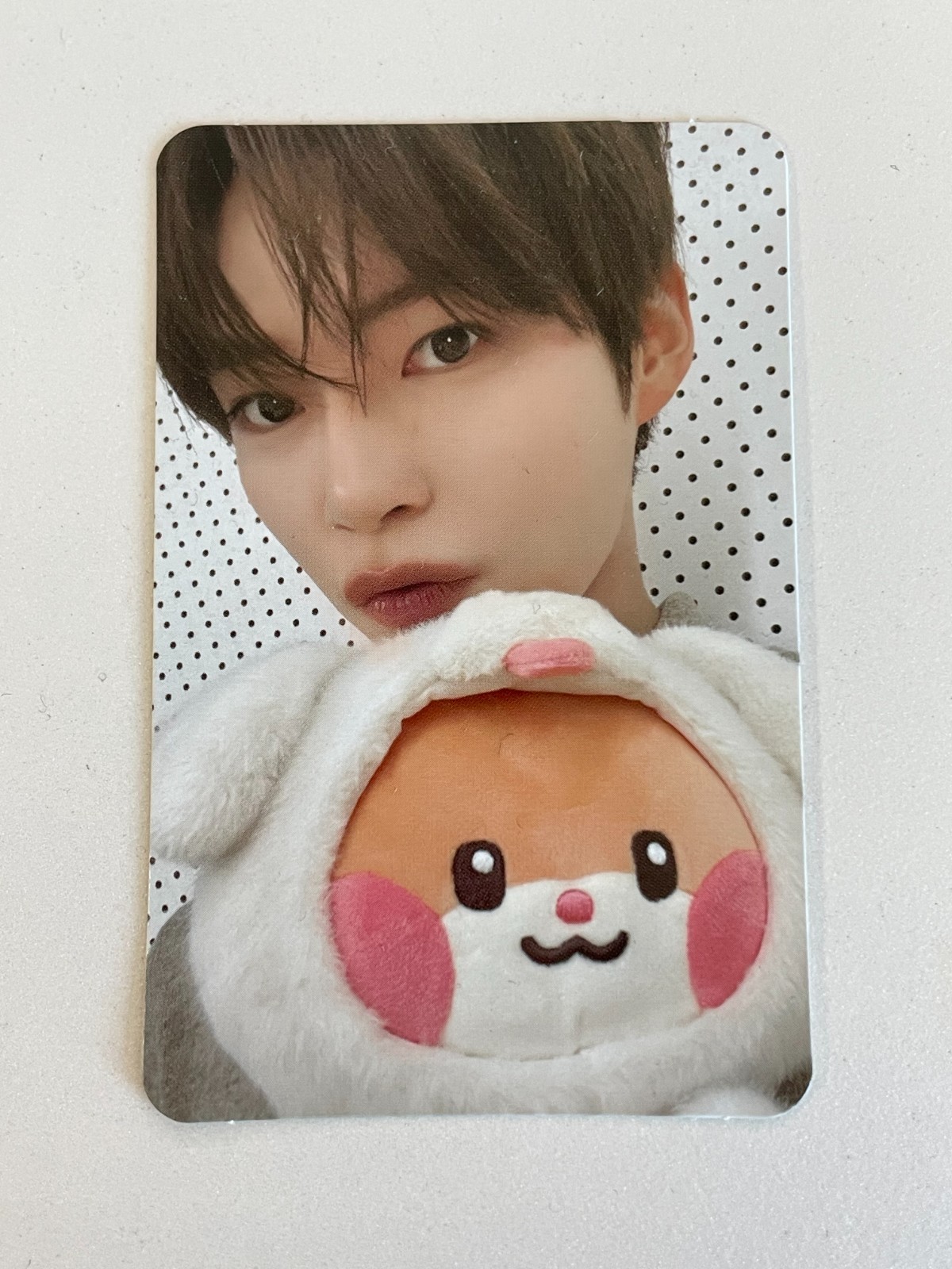 ZEROBASEONE x LINEFRIENDS [zeroni FLUFFY Wonderland] POP ​​UP EVENT PHOTO CARD