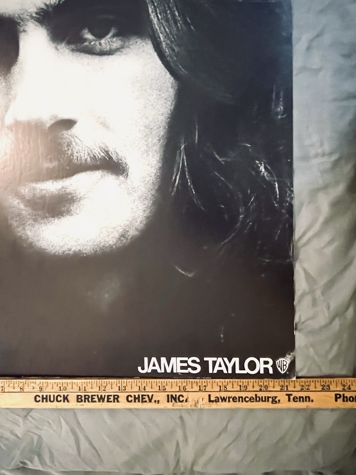 Vintage James Taylor Promo Poster Warner Bros 22×27 Record Store Print 70s