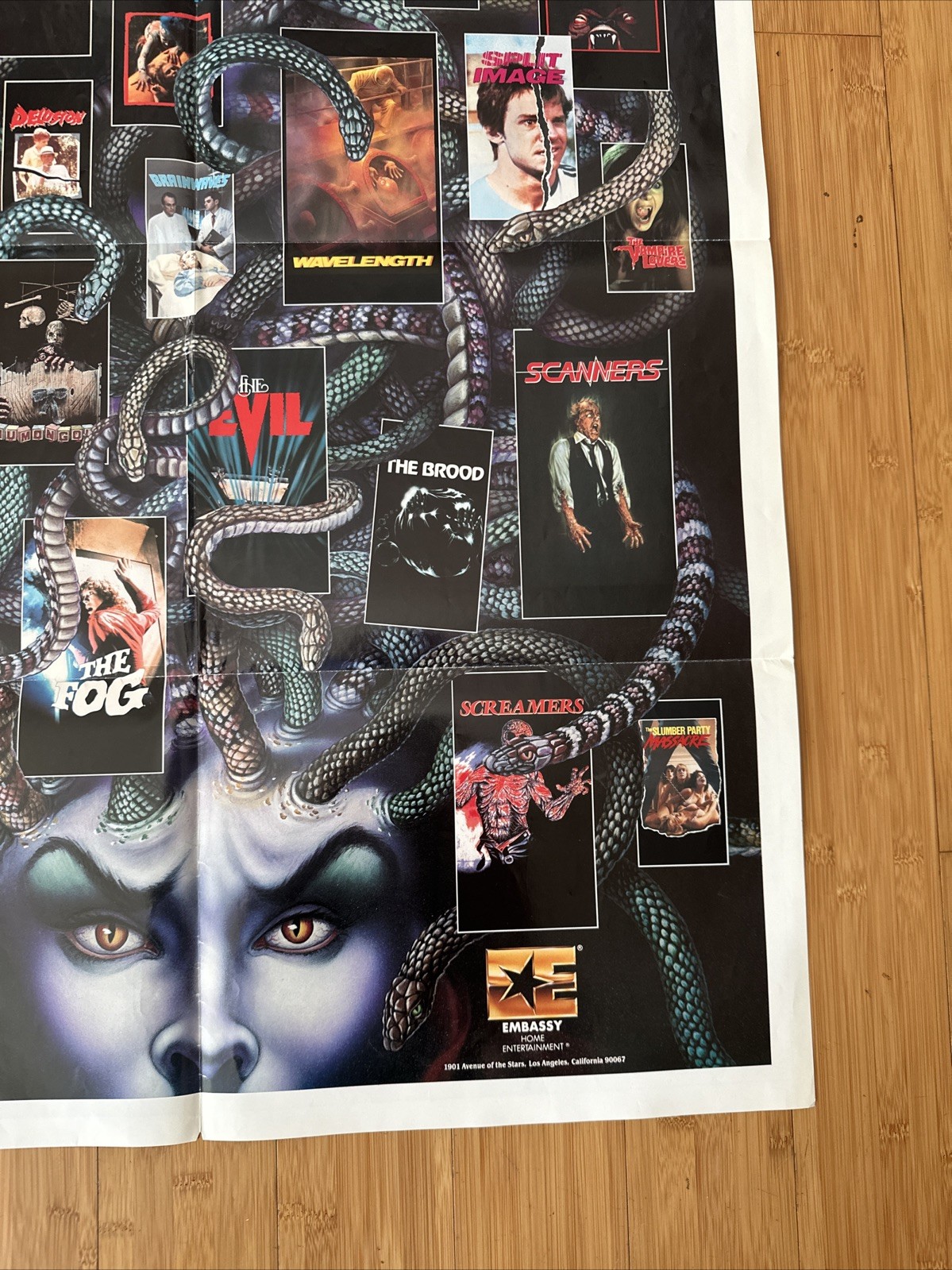 RARE 1980s Horror Movie Poster Embassy Home Video Scanners The Brood Swamp Thing