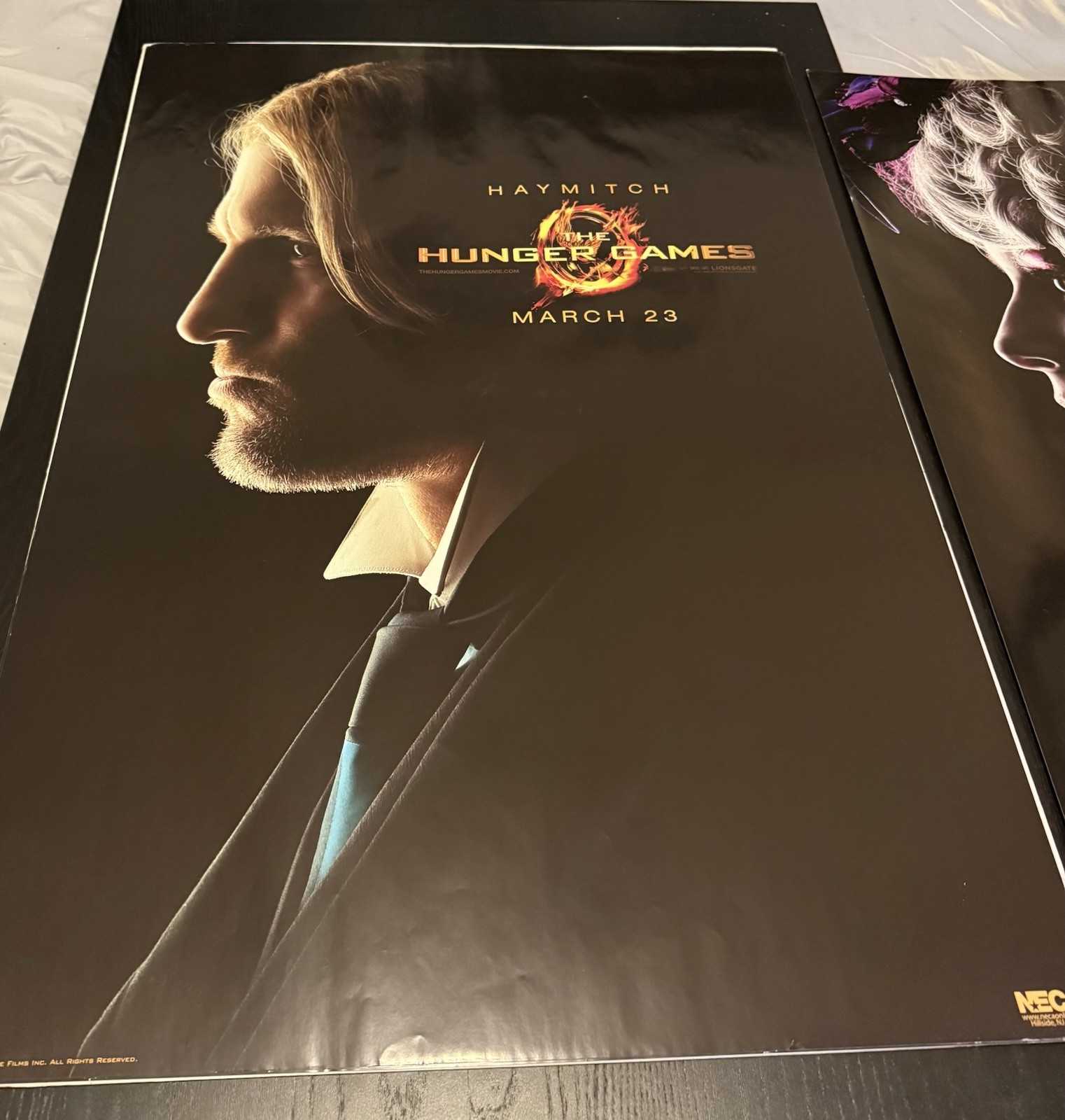 Hunger Games CHARACTER Posters – NECA LIMITED EDITION/2500 – Complete Set of 8!