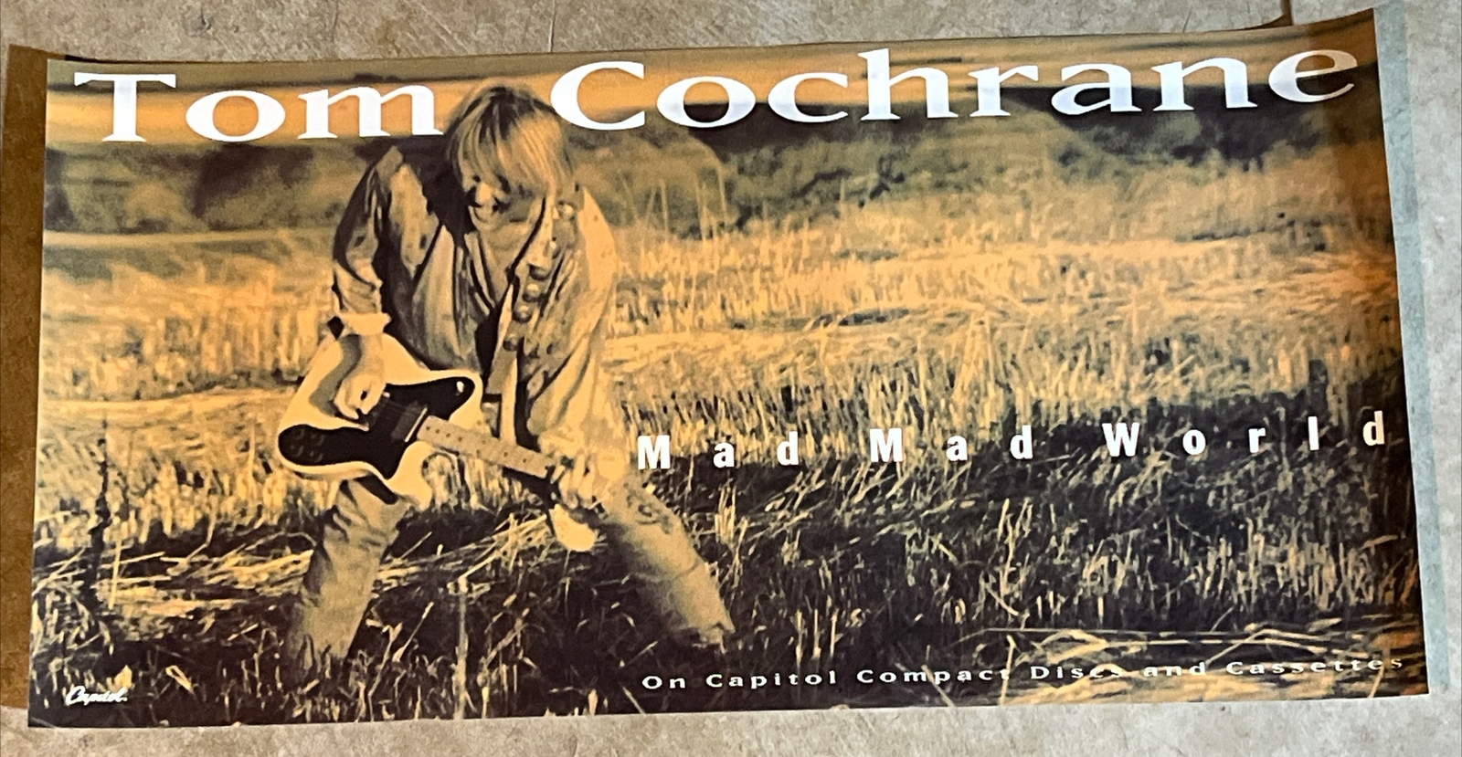 ORIGINAL RARE TOM COCHRANE MAD MAD WORLD 1992 Promo Poster 15X30