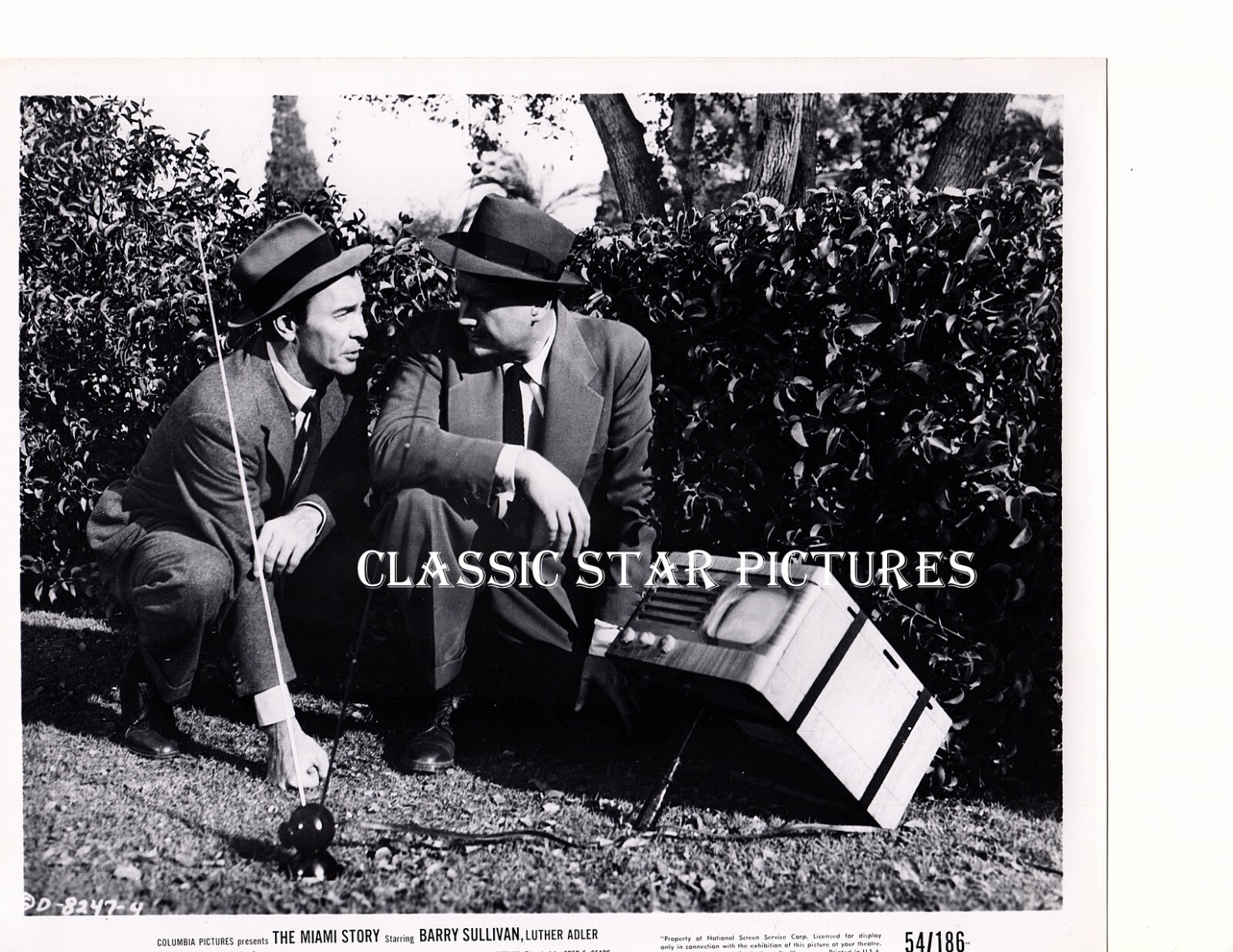 H969 Adler Barry Sullivan Adele Jergens John Baer Miami Story lot of 2 photos