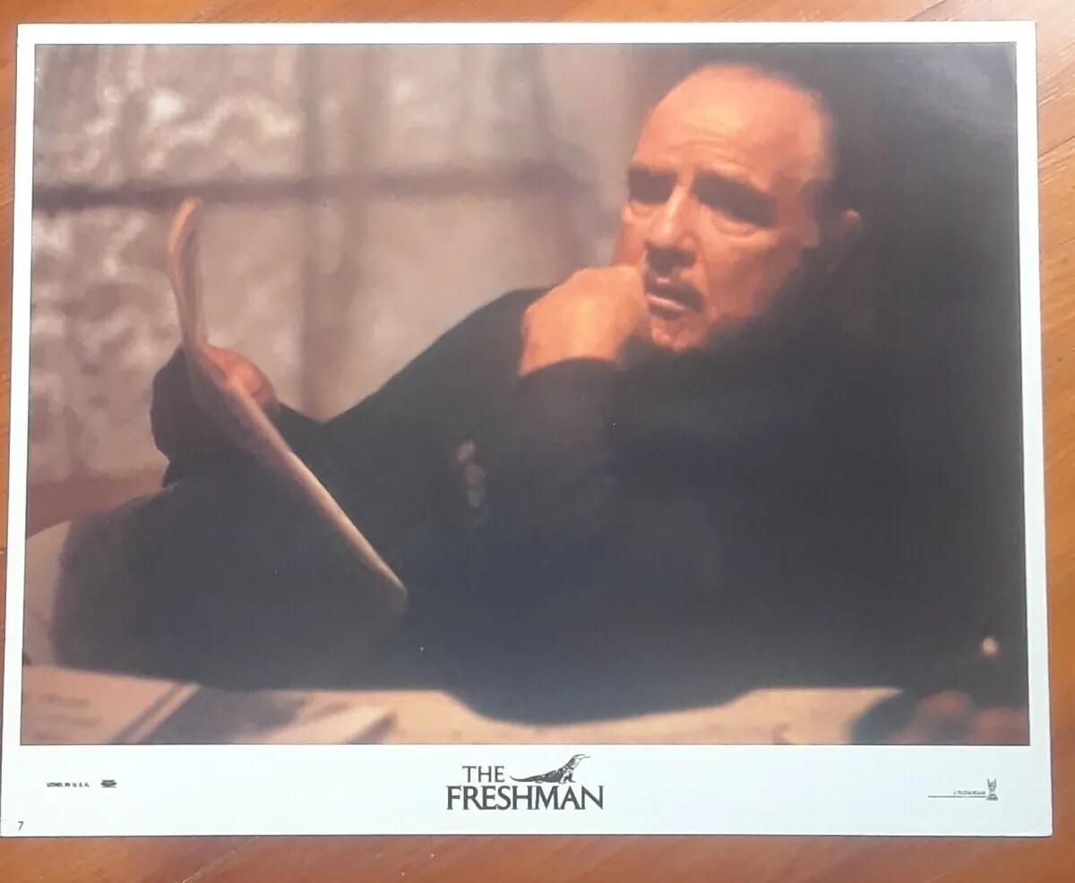 THE FRESHMAN Original Movie Lobby Card #7 MARLON BRANDO 11 x 14